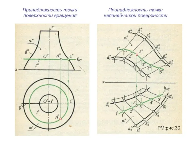 Принадлежность точки поверхности вращения Принадлежность точки нелинейчатой поверхности РМ:рис.30