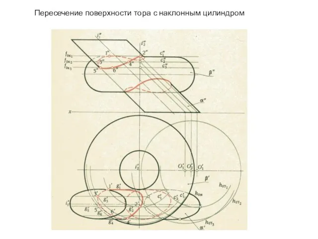 Пересечение поверхности тора с наклонным цилиндром