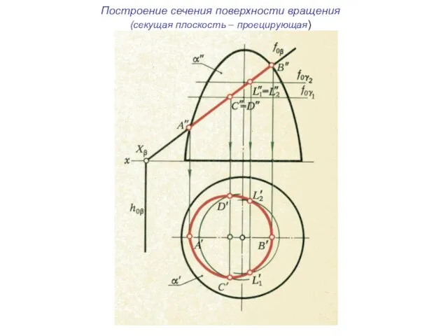 Построение сечения поверхности вращения (секущая плоскость – проецирующая)