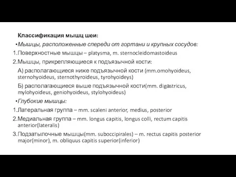 Классификация мышц шеи: Мышцы, расположенные спереди от гортани и крупных сосудов: Поверхностные