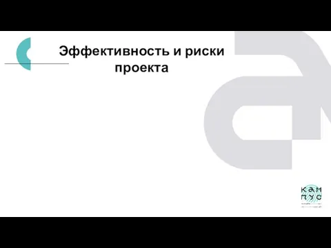 Эффективность и риски проекта