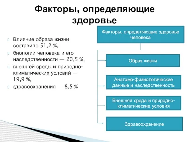 Влияние образа жизни составило 51,2 %, биологии человека и его наследственности —