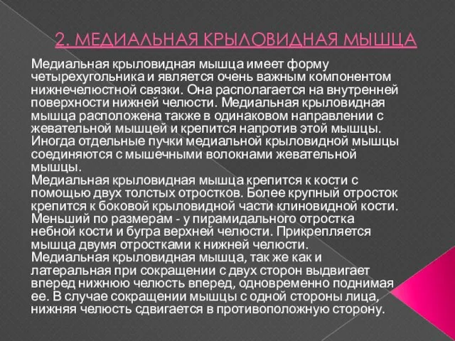 2. МЕДИАЛЬНАЯ КРЫЛОВИДНАЯ МЫШЦА Медиальная крыловидная мышца имеет форму четырехугольника и является