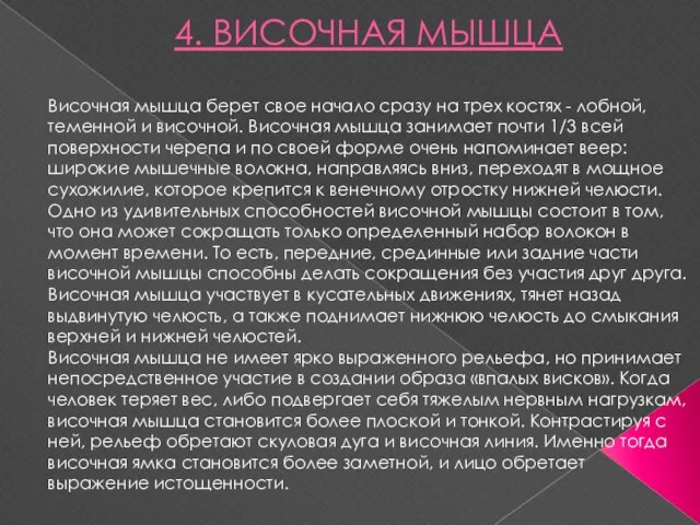 4. ВИСОЧНАЯ МЫШЦА Височная мышца берет свое начало сразу на трех костях