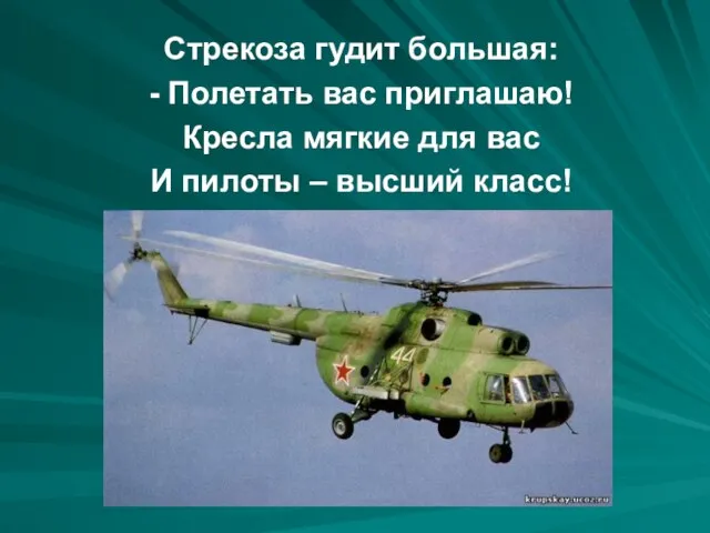 Стрекоза гудит большая: - Полетать вас приглашаю! Кресла мягкие для вас И пилоты – высший класс!