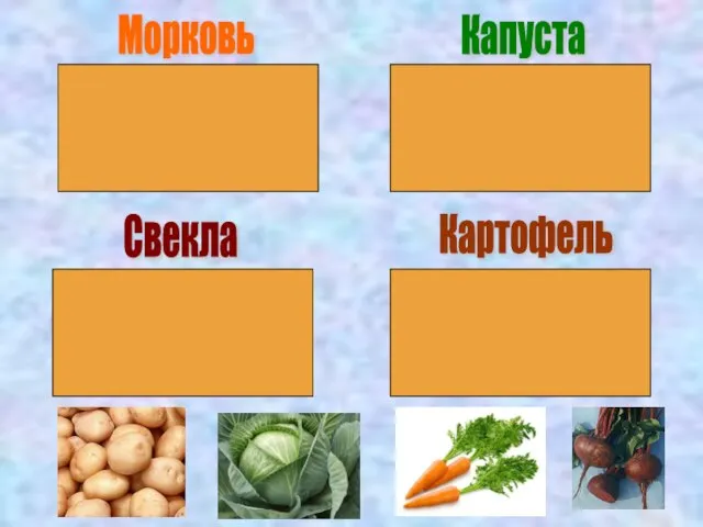 Морковь Капуста Свекла Картофель