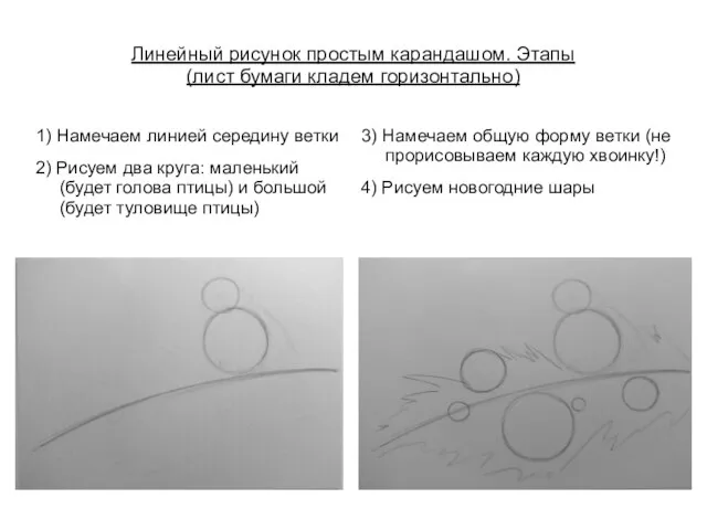 1) Намечаем линией середину ветки 2) Рисуем два круга: маленький (будет голова