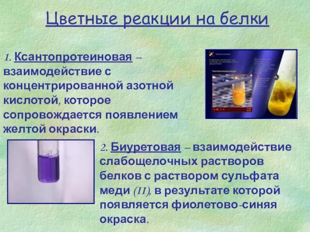 Цветные реакции на белки 1. Ксантопротеиновая – взаимодействие с концентрированной азотной кислотой,