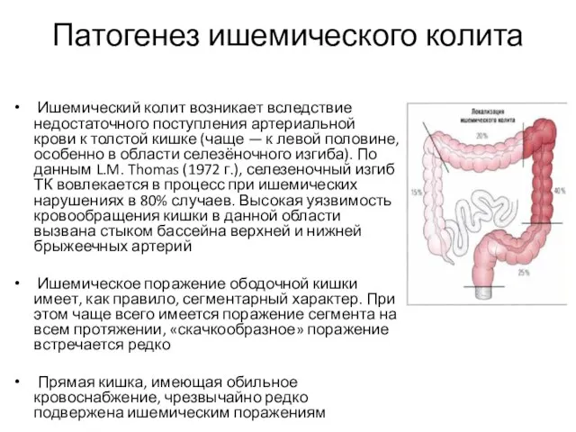 Патогенез ишемического колита Ишемический колит возникает вследствие недостаточного поступления артериальной крови к