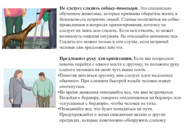 Не следует гладить собаку-поводыря. Это специально обученное животные, которые призваны оберегать жизнь