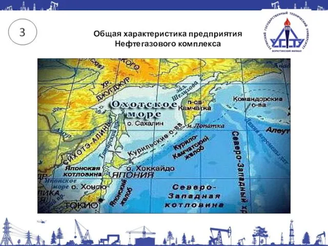 Общая характеристика предприятия Нефтегазового комплекса