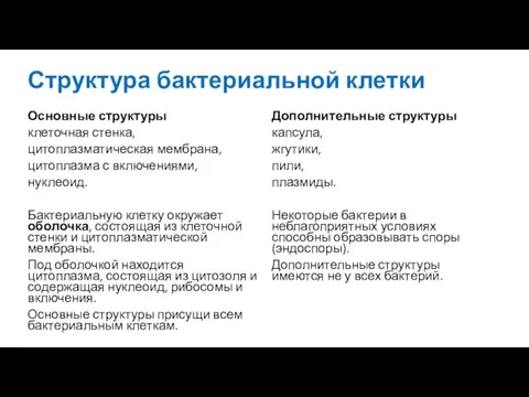 Структура бактериальной клетки Основные структуры клеточная стенка, цитоплазматическая мембрана, цитоплазма с включениями,