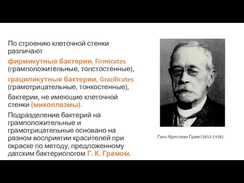 По строению клеточной стенки различают фирмикутные бактерии, Firmicutes (грамположительные, толстостенные), грациликутные бактерии,