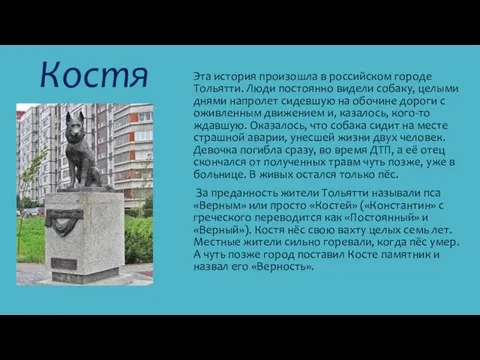 Костя Эта история произошла в российском городе Тольятти. Люди постоянно видели собаку,