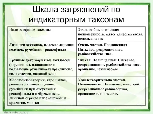 Шкала загрязнений по индикаторным таксонам