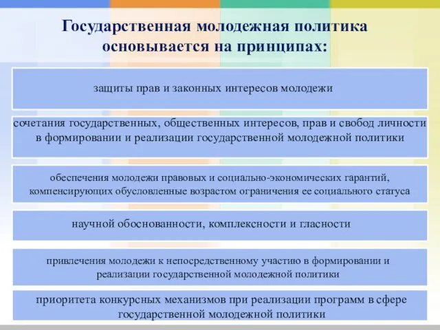 Государственная молодежная политика основывается на принципах: защиты прав и законных интересов молодежи