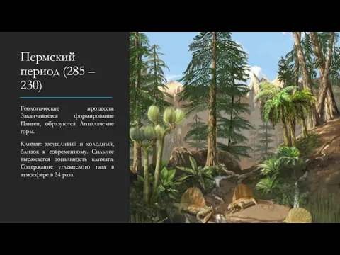 Пермский период (285 – 230) Геологические процессы: Заканчивается формирование Пангеи, образуются Аппалачские