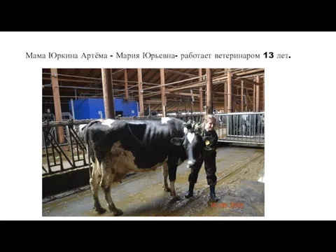 Мама Юркина Артёма - Мария Юрьевна- работает ветеринаром 13 лет.