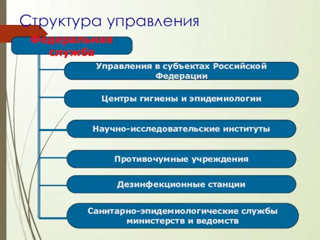 Структура управления Федеральная служба Управления в субъектах Российской Федерации Центры гигиены и