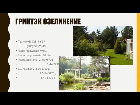 ГРИНТЭК ОЗЕЛИНЕНИЕ Тел +(495) 725- 93-37 +(905)772-75-48 Газон городской 70 р\м Газон