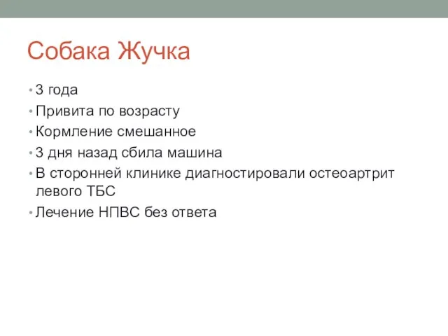 Собака Жучка 3 года Привита по возрасту Кормление смешанное 3 дня назад