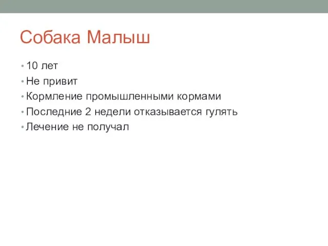 Собака Малыш 10 лет Не привит Кормление промышленными кормами Последние 2 недели