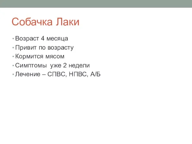 Собачка Лаки Возраст 4 месяца Привит по возрасту Кормится мясом Симптомы уже