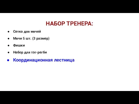 НАБОР ТРЕНЕРА: Сетка для мячей Мячи 5 шт. (3 размер) Фишки Набор для тэг-регби Координационная лестница