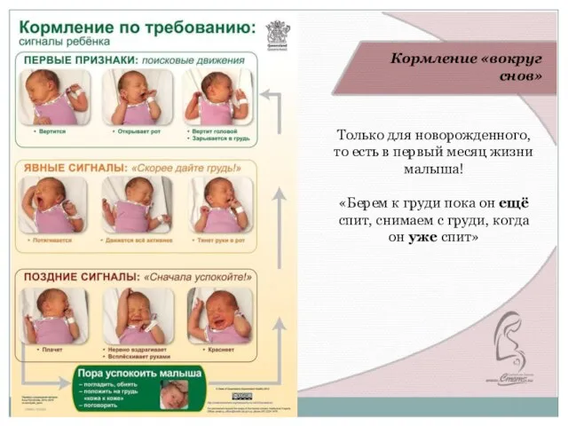 Выполняйте упражнения по 1 минуте ежедневно. В первую неделю тренировок один раз