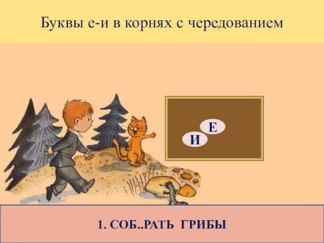 Буквы е-и в корнях с чередованием 1. СОБ..РАТЬ ГРИБЫ Е И