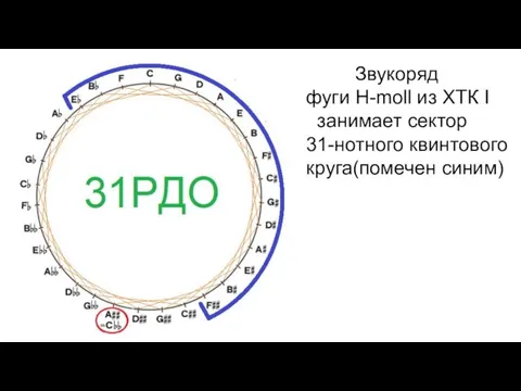 Звукоряд фуги H-moll из ХТК I занимает сектор 31-нотного квинтового круга(помечен синим)