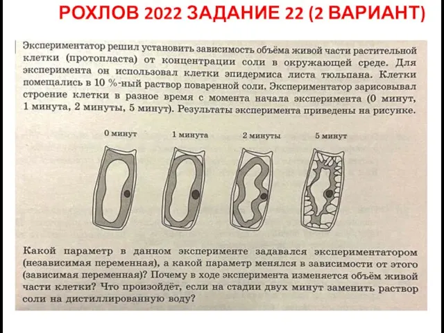 РОХЛОВ 2022 ЗАДАНИЕ 22 (2 ВАРИАНТ)