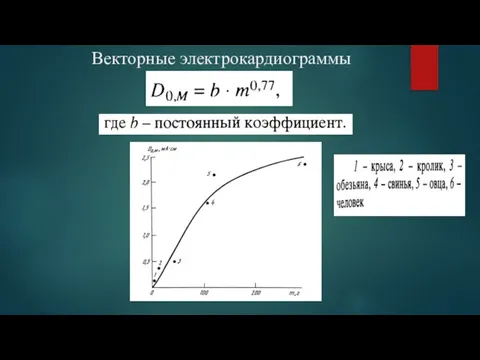 Векторные электрокардиограммы