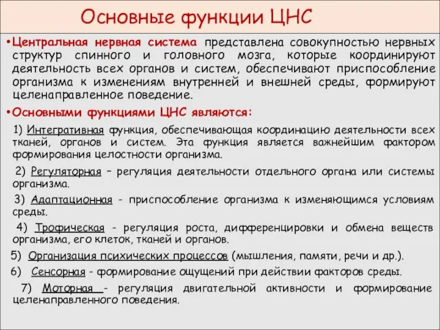 Основные функции ЦНС Центральная нервная система представлена совокупностью нервных структур спинного и