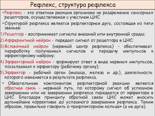 Рефлекс, структура рефлекса Рефлекс - это ответная реакция организма на раздражение сенсорных