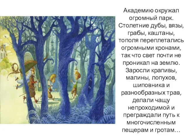 Академию окружал огромный парк. Столетние дубы, вязы, грабы, каштаны, тополя переплетались огромными