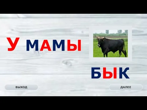 БЫК ДАЛЕЕ ВЫХОД У МАМЫ