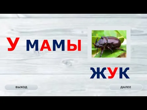 ЖУК ДАЛЕЕ ВЫХОД У МАМЫ