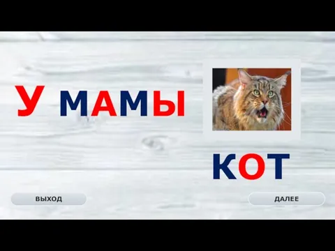 КОТ ДАЛЕЕ ВЫХОД У МАМЫ