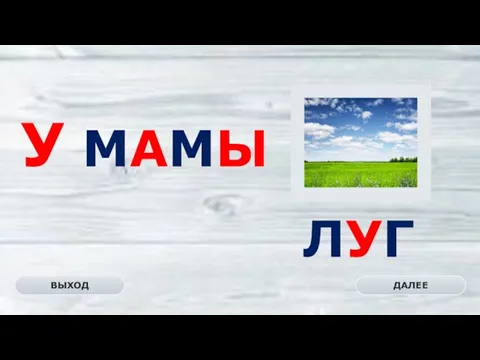 ЛУГ ДАЛЕЕ ВЫХОД У МАМЫ