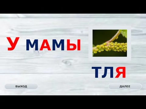 ТЛЯ ДАЛЕЕ ВЫХОД У МАМЫ