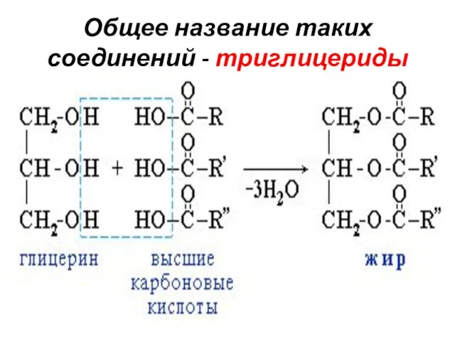 Общее название таких соединений - триглицериды
