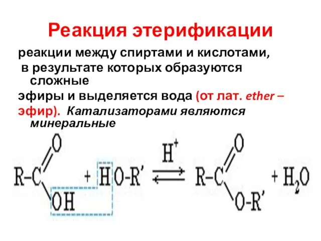 Реакция этерификации реакции между спиртами и кислотами, в результате которых образуются сложные