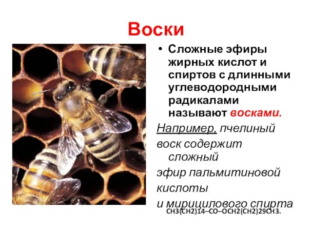 Воски Сложные эфиры жирных кислот и спиртов с длинными углеводородными радикалами называют