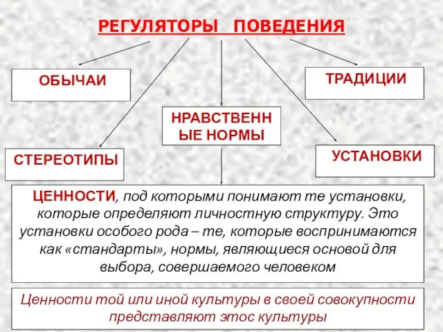 РЕГУЛЯТОРЫ ПОВЕДЕНИЯ ОБЫЧАИ ТРАДИЦИИ СТЕРЕОТИПЫ УСТАНОВКИ НРАВСТВЕННЫЕ НОРМЫ ЦЕННОСТИ, под которыми понимают