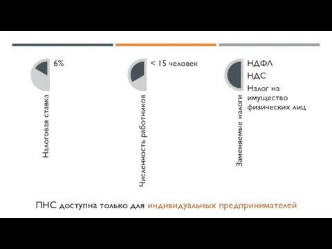 ПНС доступна только для индивидуальных предпринимателей