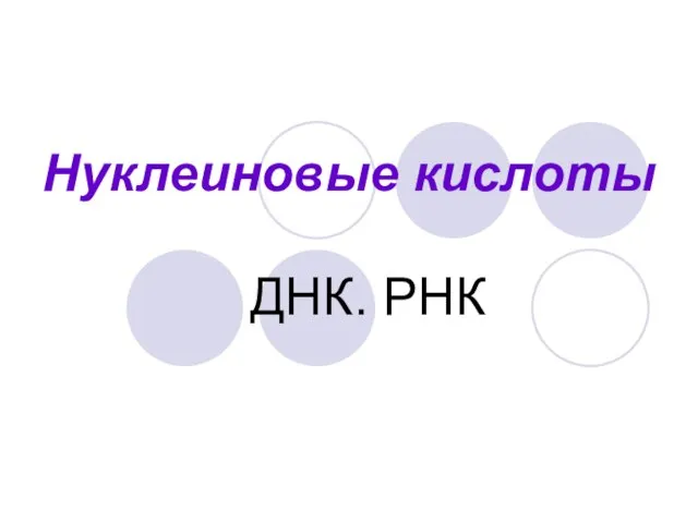 Нуклеиновые кислоты ДНК. РНК