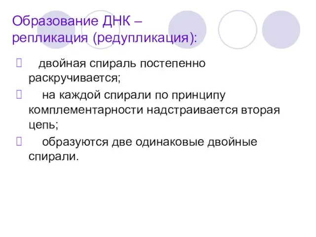 Образование ДНК – репликация (редупликация): двойная спираль постепенно раскручивается; на каждой спирали