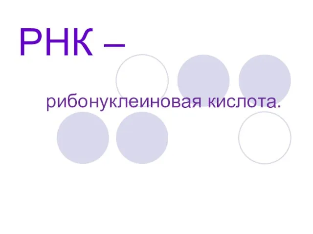 РНК – рибонуклеиновая кислота.