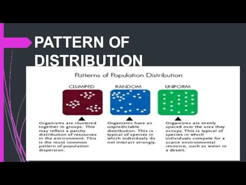 PATTERN OF DISTRIBUTION